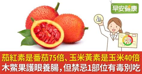 木鱉果種子盆栽|Hibiscus 木鱉果，you can 您也可以輕鬆種植，護眼食物